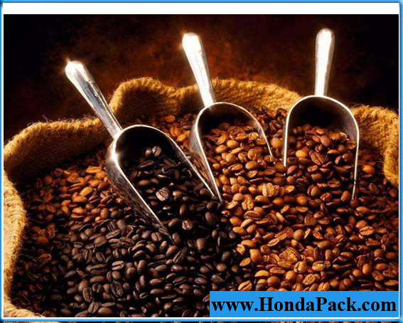 Kopi Luwak Coffee Brand Marketing Strategy