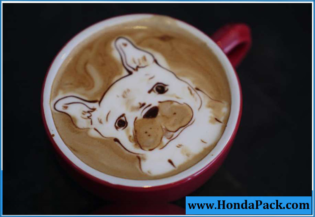 Coffee art dog